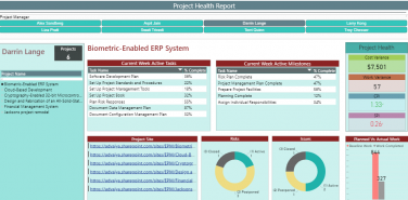 project health report